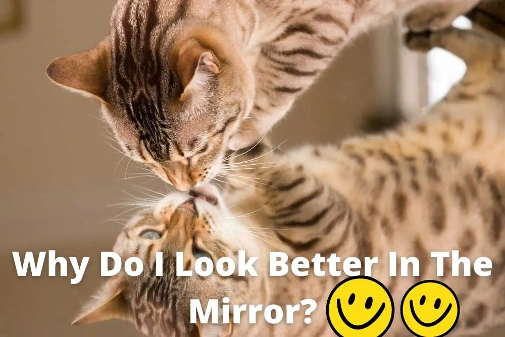 Why Do I Look Better In The Mirror? [7 Reasons To Look Different]